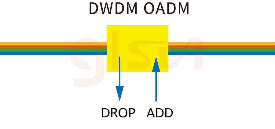 What Are The Common Optical Devices In DWDM System